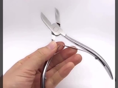 Резец зуба поросенка