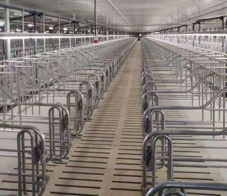 PVC Ventilating Livestock Farm Equipment Automatic Galvanized Steel